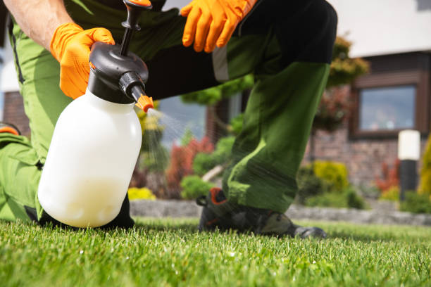 Best Best Pest Control Companies  in Stansbury Park, UT