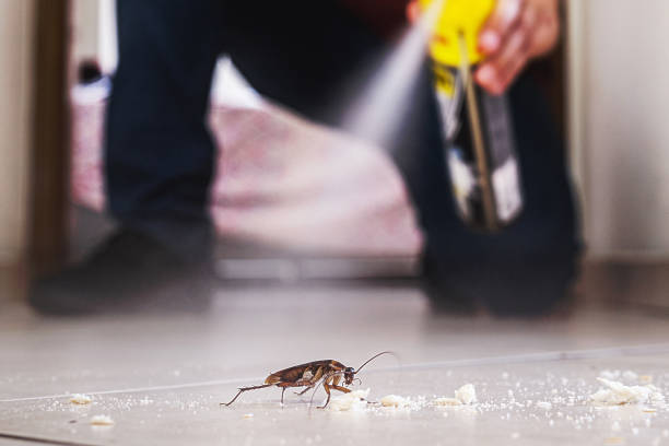 Best Exterminator Services  in Stansbury Park, UT